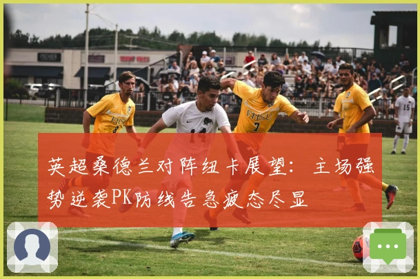 英超桑德兰对阵纽卡展望：主场强势逆袭PK防线告急疲态尽显