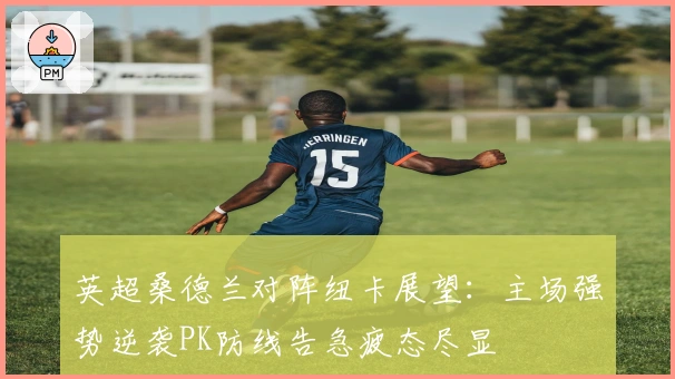 英超桑德兰对阵纽卡展望：主场强势逆袭PK防线告急疲态尽显