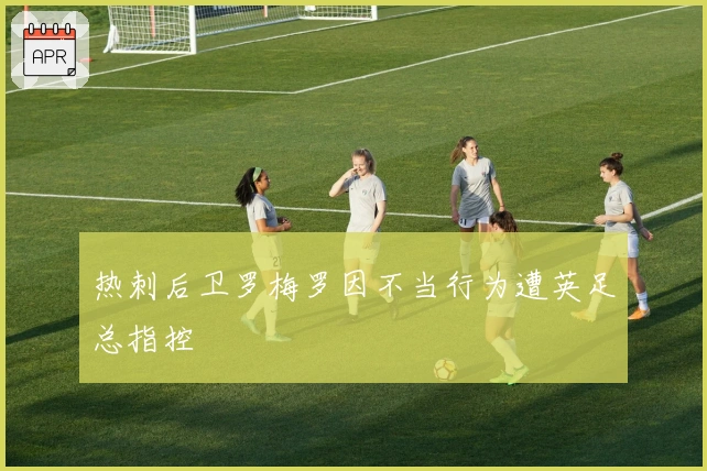 热刺后卫罗梅罗因不当行为遭英足总指控